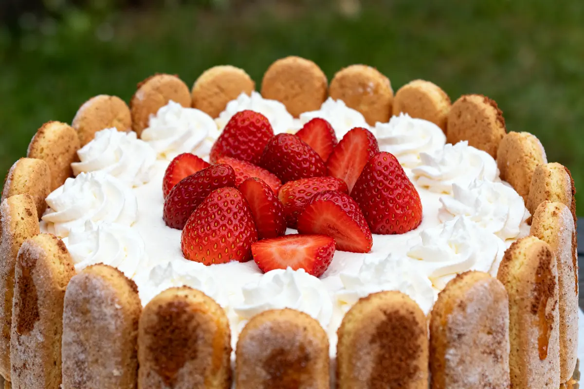 Charlotte aux fraises classique : Recette facile, rapide et inratable
